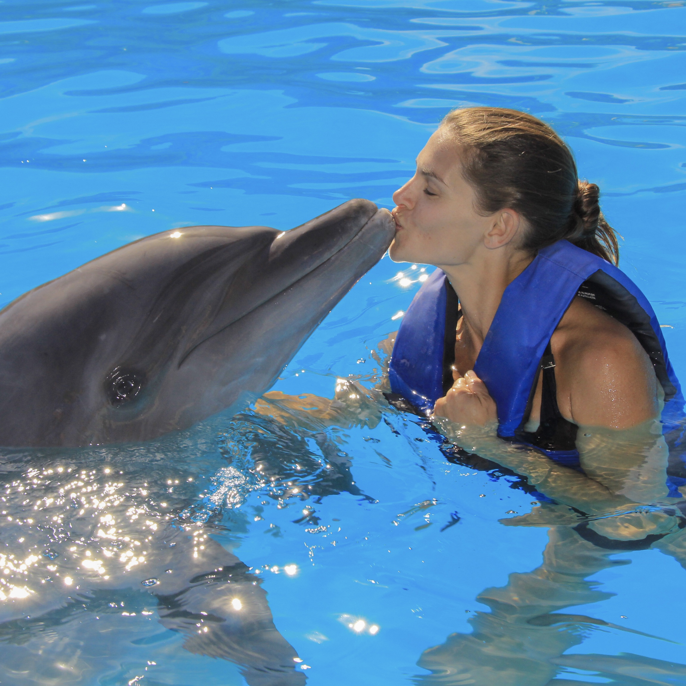 Dolphin Experience