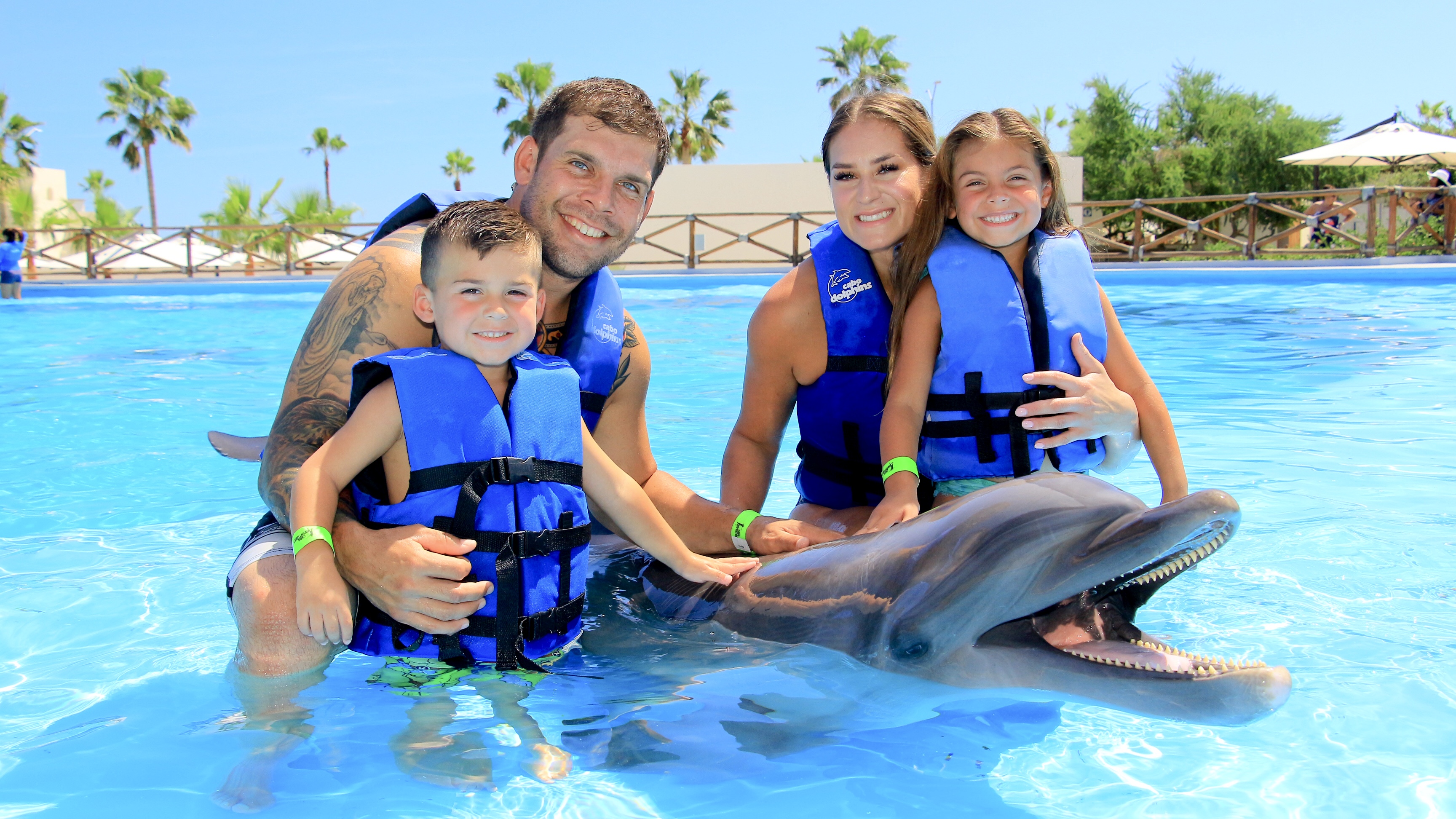 Dolphin Family Encounter