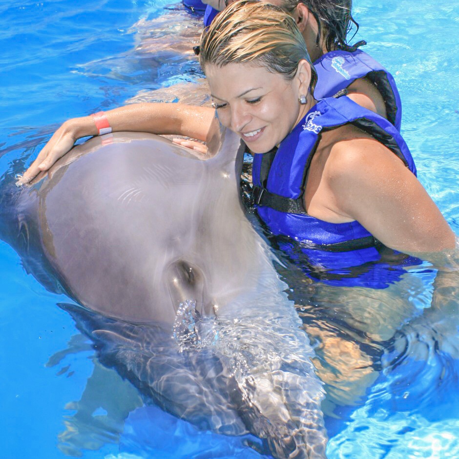 Dolphin Family Encounter