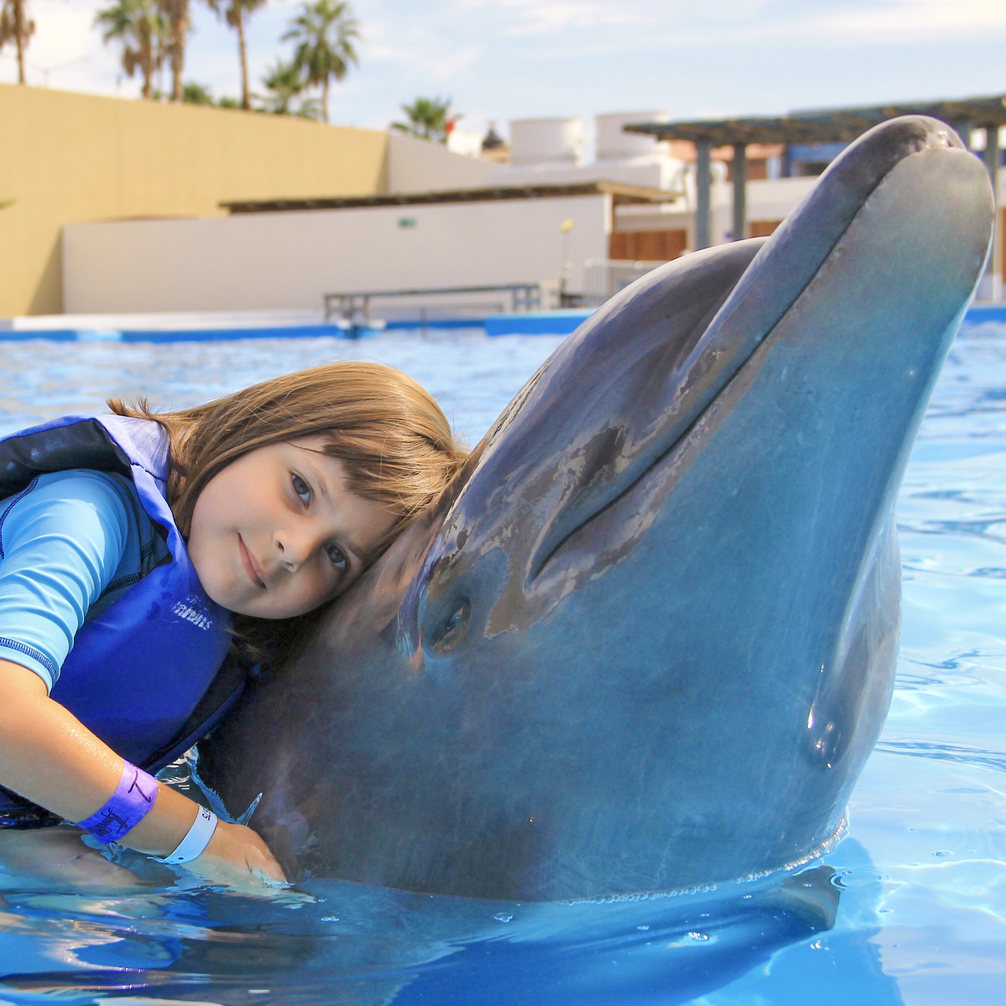 Dolphin Family Encounter