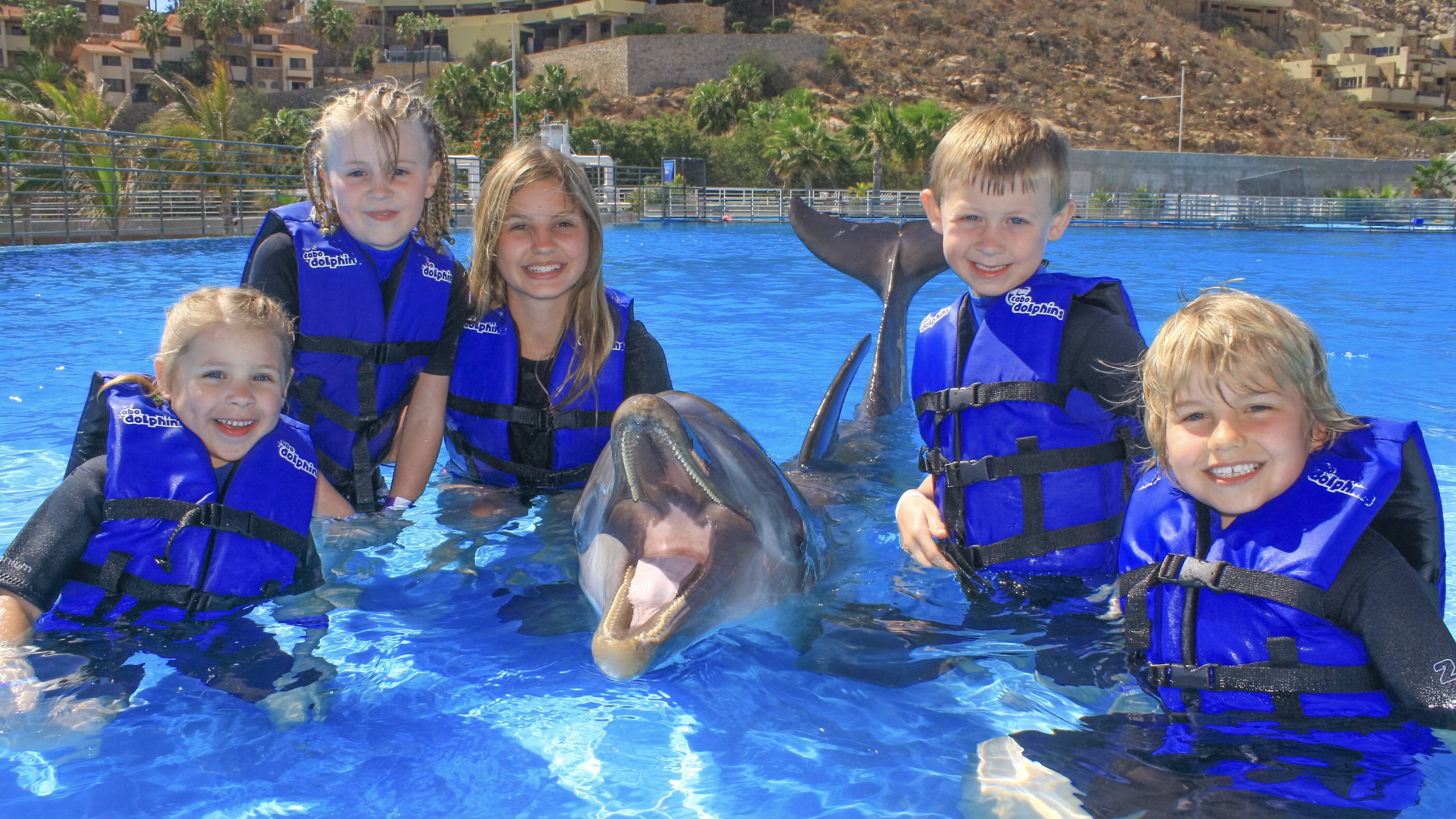 Dolphin Kids