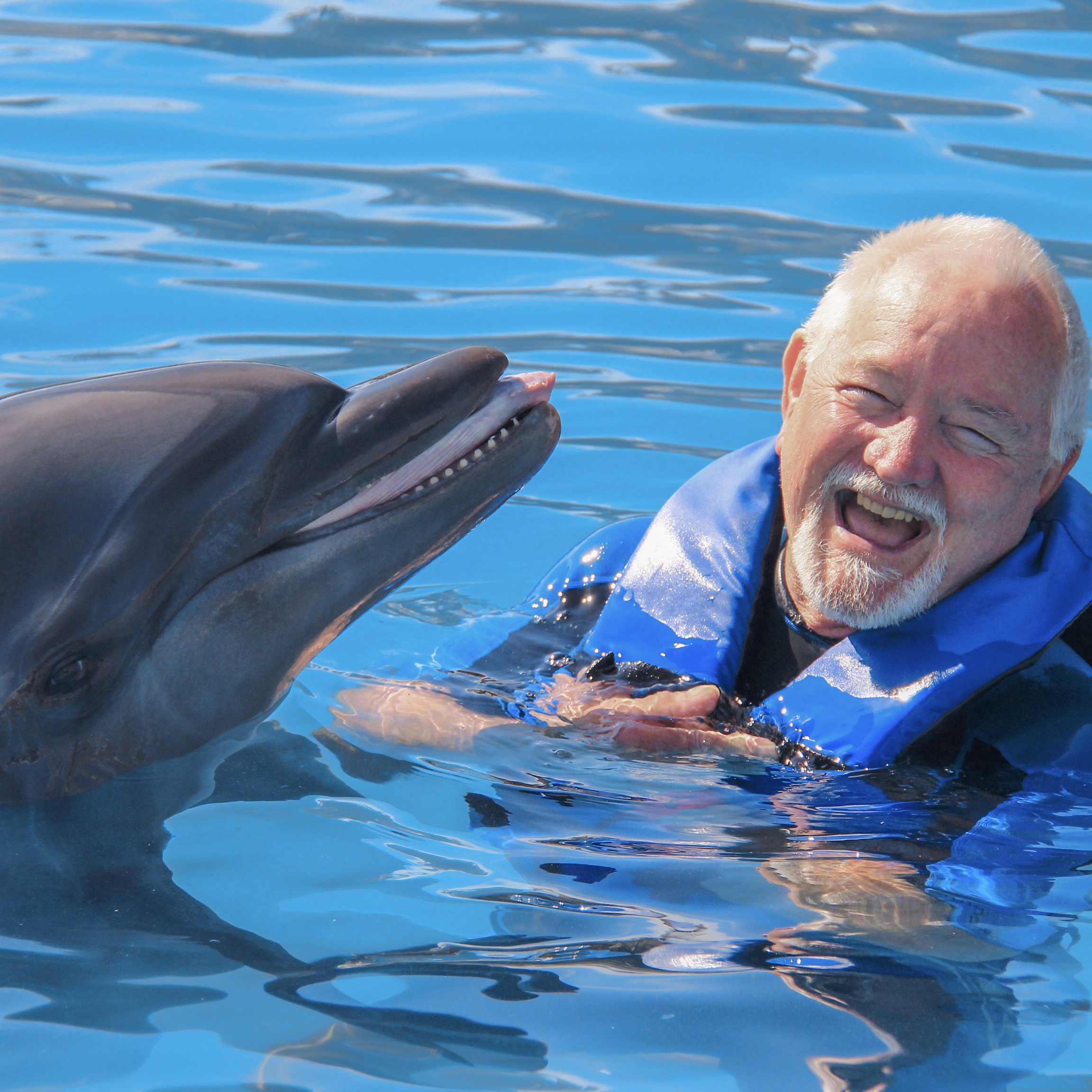 Dolphin Signature Swim