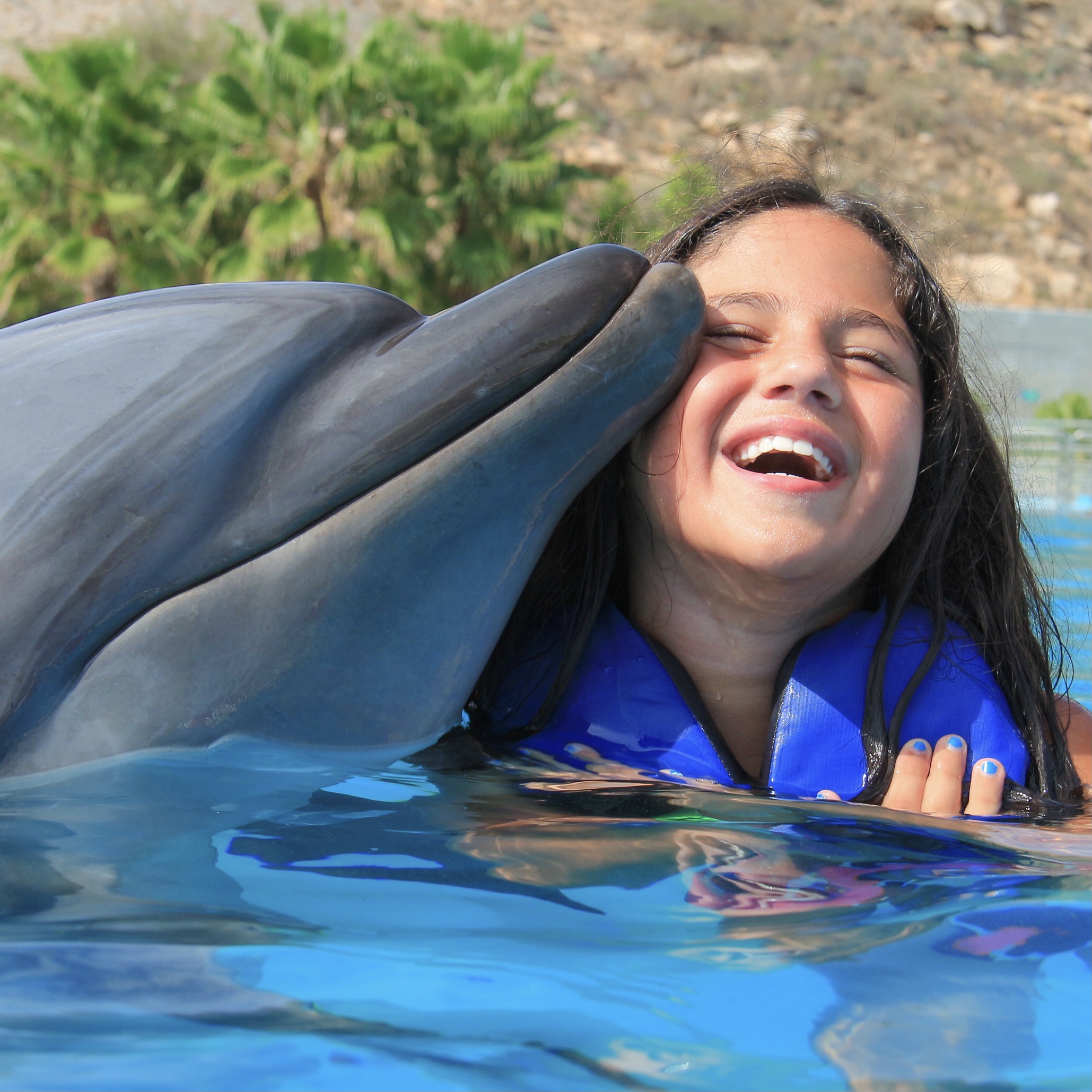 Dolphin Signature Swim